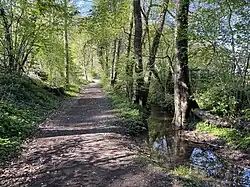Unterlauf Schwarzbroicher Bach am Dhünntalhang