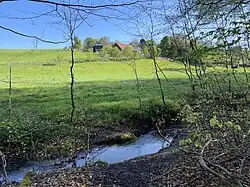 Waschbach grenzt an Feuchtgrünland (hinten Unterbech)