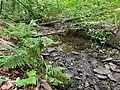 Beek am Grenzwall – steinig-kiesiges Bachbett