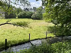 Breibach im NSG nahe Broich