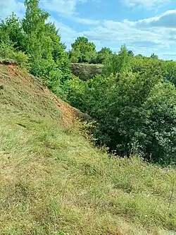 Zuwachsender Steinbruch