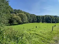 NSG Dürschbachtal bei Keller