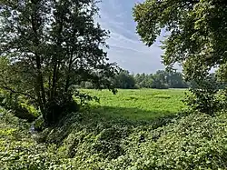 Düsselaue bei Haus Morp