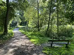 Weg am Pillebach Bereich Dernkamp