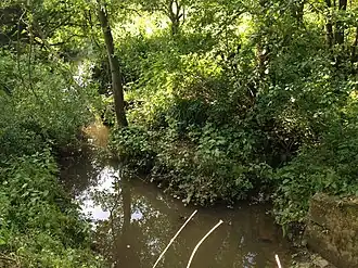Rosendeller Bach am östlichen Rand des NSG