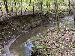 Oefter Bach mäandert mit teils steilem Ufer