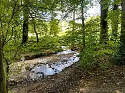 westl. Endpunkt des NSG bei Brücke