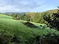 Südliches oberes Paasbachtal bis zum Ende des NSG bei Im Mesewinkel