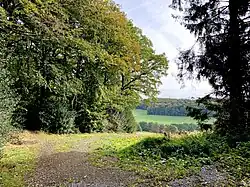 Südwestlicher Eingangsbereich in das NSG bei An der Ködderei