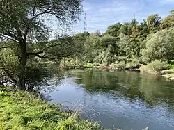 Vogelparadies an der Ostseite der Ruhrschleife