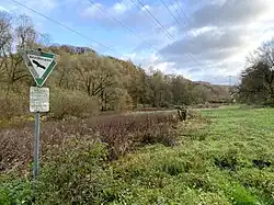 Hochstaudenflur bei „Zur Goldenen Kuhle“