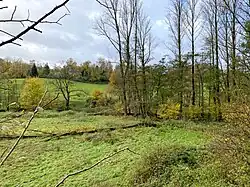 Bachtal bei Heierberg