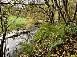 Sprockhöveler Bach mäandert mit Bildung von Schotterinseln