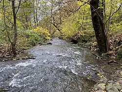 Sprockhöveler Bach bei „Am Kämpchen“