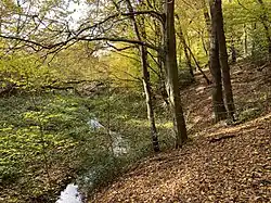 Ende des begehbaren Teils im NSG Hesselbachtal – Pfad führt ab hier aufwärts zur Klinik Blankenstein über dem Tal der Hesselbecke