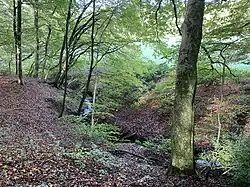 Bach aus Richtung Am Nockenberg