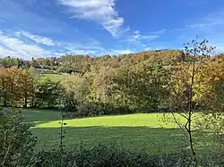 Blick nach Bossel am südwestl. Ende des NSG