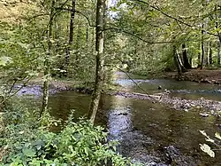 Mündung Eifgenbach in die Dhünn (rechts) in Odenthal