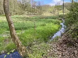 Eschbachaue b. Heintjeshammer mit Obergraben Zurmühle