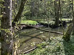 Kleiner Nebenbach erreicht den Eschbach im Auwald
