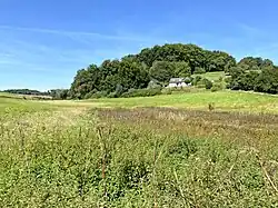 NSG Feuchtwiese bei Keller