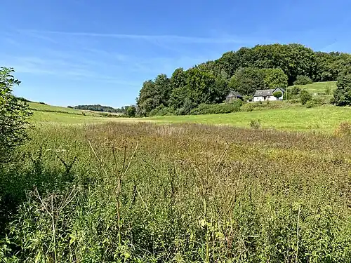 NSG Feuchtwiese bei Keller