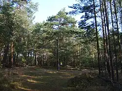 Das Naturschutzgebiet bei Kraupa