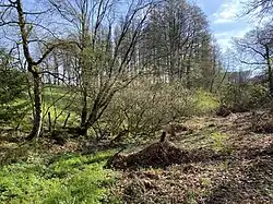 Linker Nebenbach des Freebaches