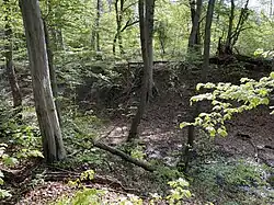 Spuren des ehem. Bergbaus im NSG