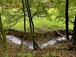 Weidener Bach im NSG