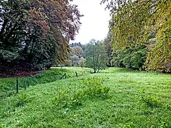 Der Durbach durchfließt eine Feuchtwiese