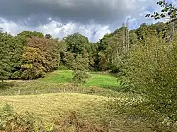 Am Südhang blütenreiche Magerwiesen – in der Talsohle feuchte Hochstaudenflur