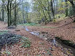 Grünscheider Bach erreicht das Weltersbachtal