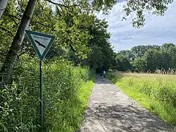 Schilfröhricht (am NSG-Schild) zeigt die hohe Bodenfeuchtigkeit an