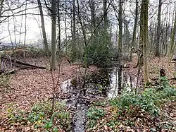 Hülser Bach entwässert zur Wupper