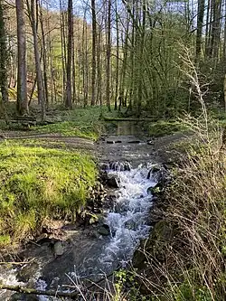 Wiembach mit Fließdynamik
