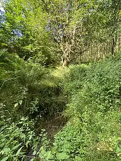 Oberer Wickesberger Bach