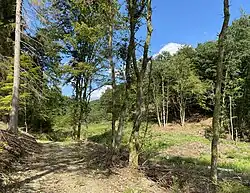 Wickesberger Bachtal