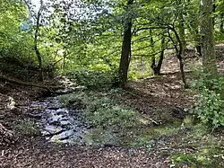 Eissiefen – rechter Nebenbach des Winterbaches