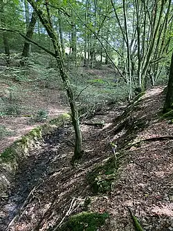 Pferdswieser Delle im NSG