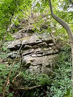 Felswand im Steinbruch am Wahlberg