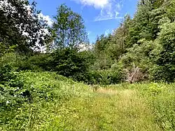 Steinbruch am Wahlberg