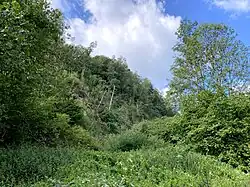 Steinbruch am Wahlberg