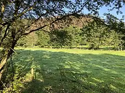 Purder Bach in der Auwiese