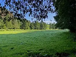 Große Auwiese im Purder Bachtal