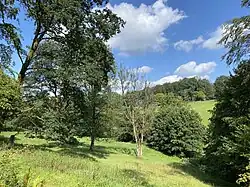 Mausbachtal mit parkähnlichem Charakter