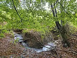 Tief eingegraben mäandert die Reebeck südlich Braake