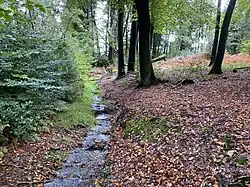 Obernhofer Siepen – rechtes Seitengewässer des Freebaches