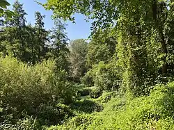 Landschaftsmosaik im Bereich NSG Dernkamp