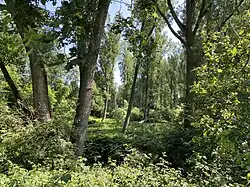 Im Tal des Garather Mühlenbaches